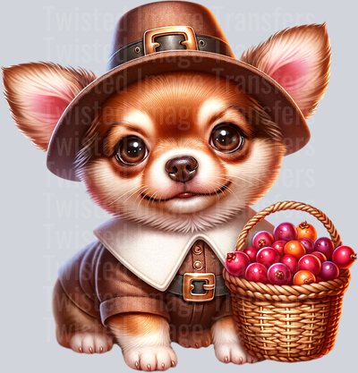 Pilgrim Pup