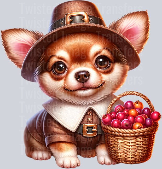 Pilgrim Pup