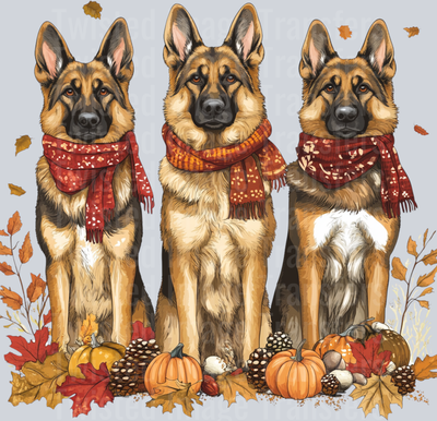 3 Fall Shepherds