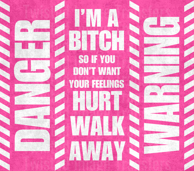 Danger I_m a Bitch