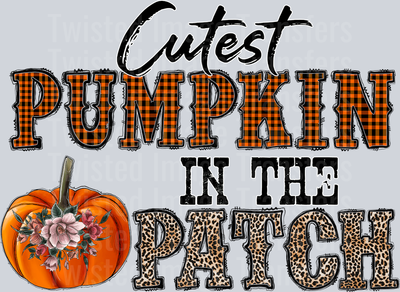 Cutest Pumpkin