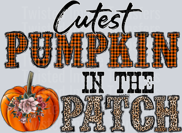 Cutest Pumpkin