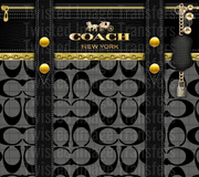 Coach Bag (10)