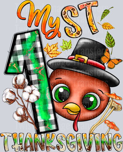 My 1st Thanksgiving