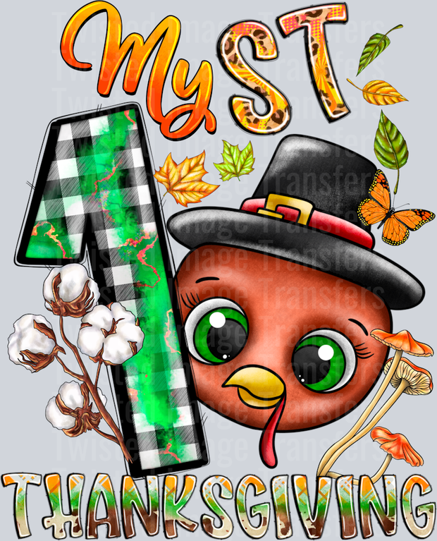 My 1st Thanksgiving