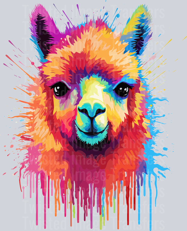 Color Drip Lama Purple & Blue